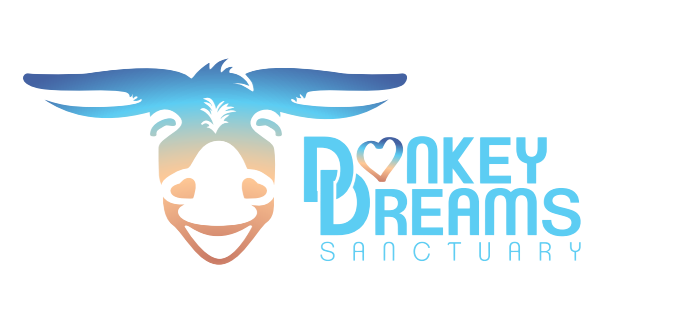 Donkey Dreams Sanctuary