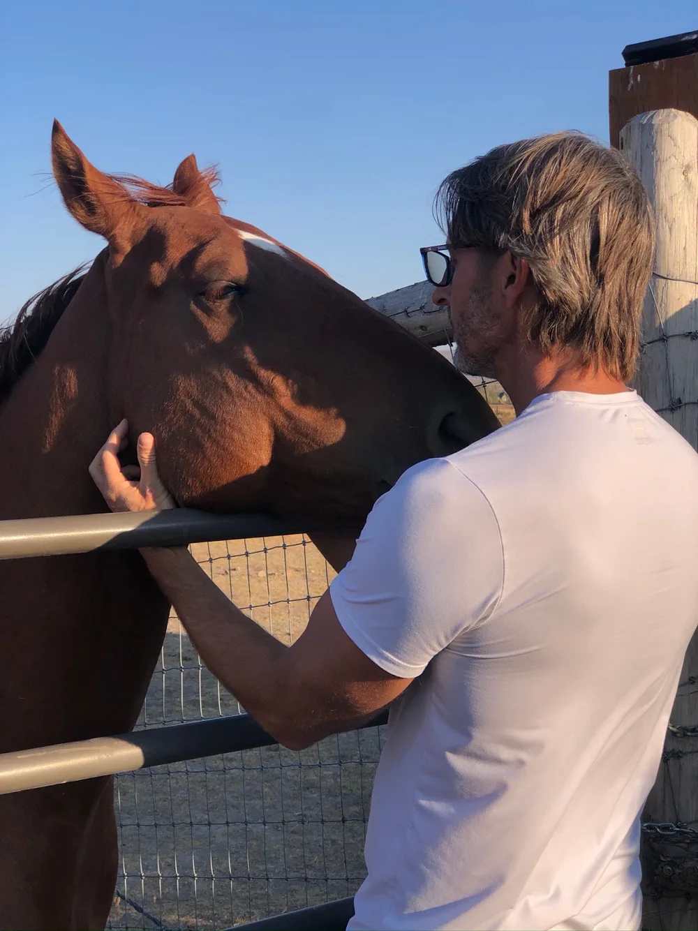 A quiet moment with a chestnut horse at the fence
